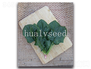 ��(qi��ng)�S����-���˷N��-�A�G