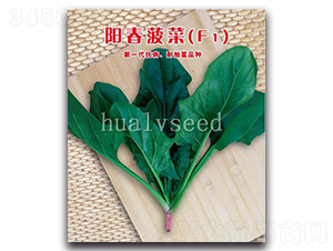 �(y��ng)������F1-���˷N��-�A�G