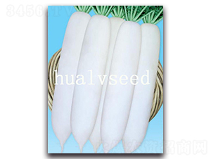 �����}��8̖(h��o)-�}���N��-�A�G