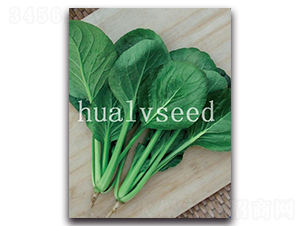 �A�GС�ɲ�-��˷N��-�A�G