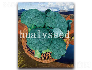 ��ɽ-���m���N��-�A�G