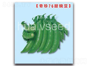 �A�G76���㶹-���㶹�N��-�A�G