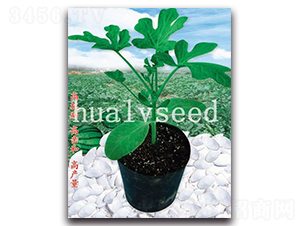 �L����ľ-��ľ�N��-�A�G