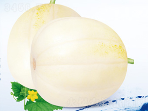 ����-��ϷN��-����N�I(y��)