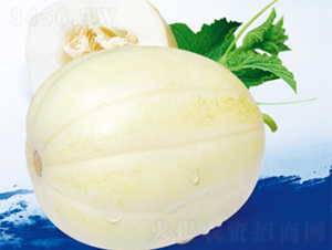 ������������-��ϷN��-����N�I(y��)