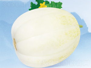 ��һ����-��ϷN��-����N�I(y��)