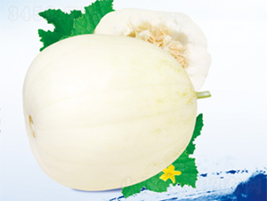 �������u(y��)-��ϷN��-����N�I(y��)