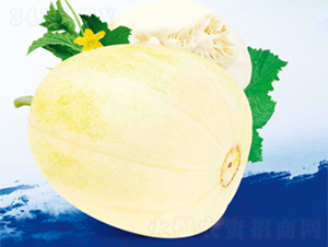 ����-��ϷN��-����N�I(y��)