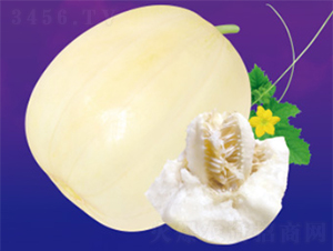 ����һ-��ϷN��-����N�I(y��)