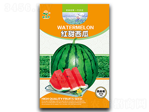 �t������-���ϷN��-ԥ�x�N�I(y��)