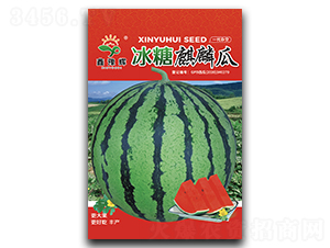 ���������-���ϷN��-ԥ�x�N�I(y��)