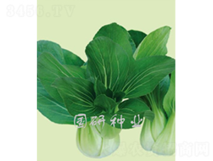 �����๣��-�Ͳ˷N��-���зN�I(y��)