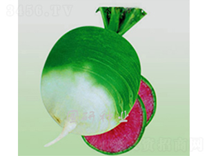 �����M(m��n)�üt-�}���N��-��(gu��)�зN�I(y��)