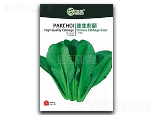 ��������-С�ײ˷N��-���зN�I(y��)