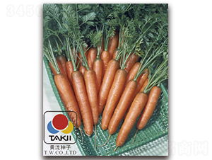 ��������-���}���N��-�S�{�N��