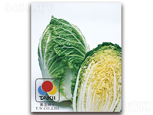 ꖴ�����-�ײ˷N��-�S�{�N��