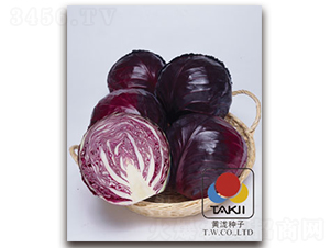 �����R��-�ϸ��{(l��n)�N��-�S�{�N��