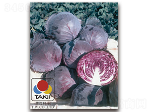 �����R��-�ϸ��{(l��n)�N��-�S�{�N��