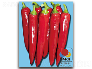 ����̖-�����N��-�S�{�N��