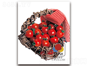 �t�񣨙��ҷ��ѣ�-���ѷN��-�S�{�N��