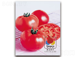 ���ǣ��۹���-���ѷN��-�S�{�N��