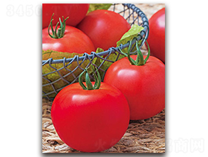 TI-10M���۹���-���ѷN��-�S�{�N��