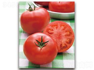 ��̫�ۣ��۹���-���ѷN��-�S�{�N��