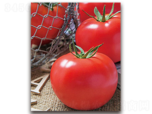 TI-078���۹���-���ѷN��-�S�{�N��