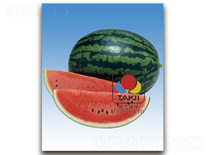 ����-���ϷN��-�S�{�N��