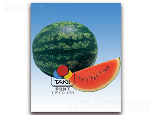 �{������-���ϷN��-�S�{�N��