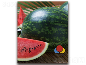 �A�ϱ�-���ϷN��-�S�{�N��