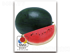 �ڱ�-���ϷN��-�S�{�N��