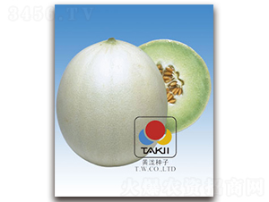 ����˹-��ϷN��-�S�{�N��