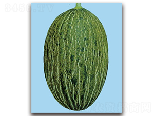 TI-09E-��ϷN��-�S�{�N��