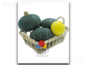 ����-�ϹϷN��-�S�{�N��