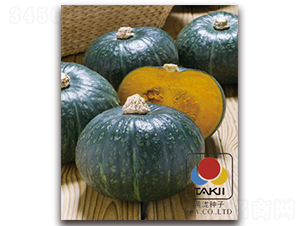 �����۱�˹-�ϹϷN��-�S�{�N��