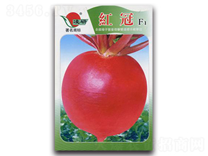 �t��F1-�}���N��-�ʴ��r(n��ng)�I(y��)