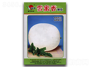 ѩ�������-��ϷN��-�ʴ��r(n��ng)�I(y��)