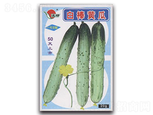 �װ��S��-�S�ϷN��-�ʴ��r(n��ng)�I(y��)