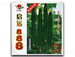 ���\888�S��-�S�ϷN��-�ʴ��r(n��ng)�I(y��)