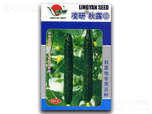 ������¶��-�S�ϷN��-�ʴ��r(n��ng)�I(y��)