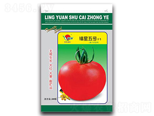 ������̖-���ѷN��-�ʴ��r(n��ng)�I(y��)