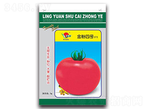 �����̖-���ѷN��-�ʴ��r(n��ng)�I(y��)