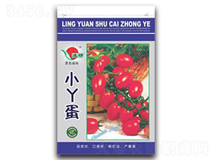 СѾ��-���ѷN��-�ʴ��r(n��ng)�I(y��)