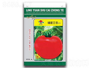 ������̖-���ѷN��-�ʴ��r(n��ng)�I(y��)