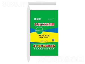 ����Ԫ��ˮ�ܷ�12-10-28+TE-�Ý��S