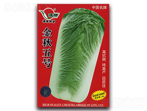 ������̖-�ײ˷N��-�ʴ��r(n��ng)�I(y��)