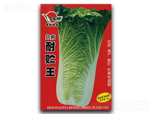 �������A��-�ײ˷N��-�ʴ��r(n��ng)�I(y��)