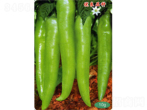 ǰ���L��-�����N��-�������