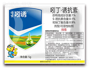 �Ŷ����T����-�������T-��������